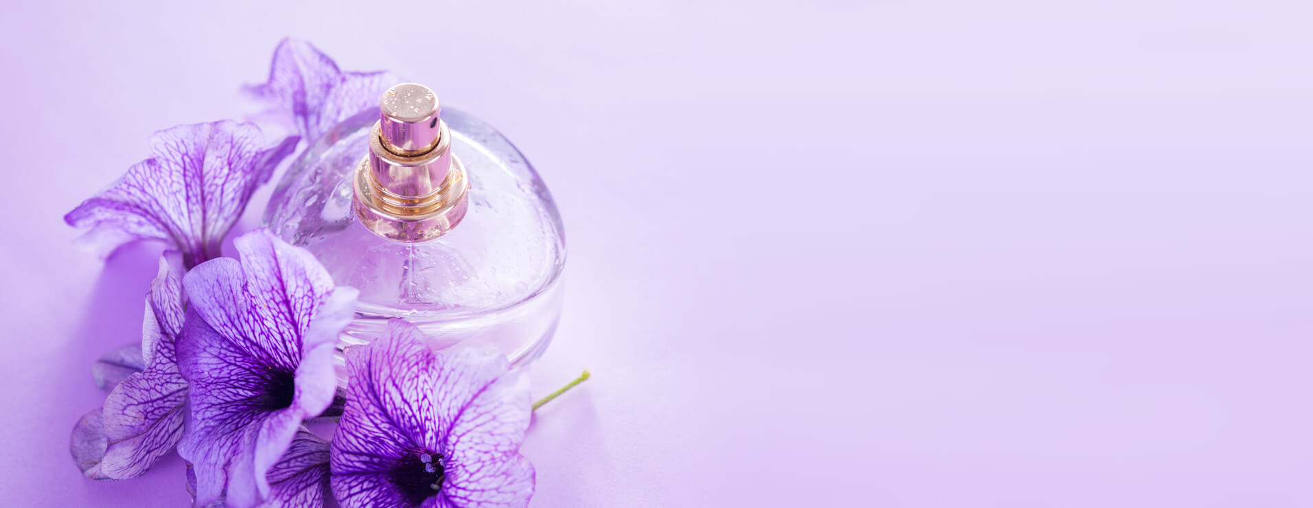 Ruhacuka Webáruház