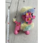 Coco Surprise kiskutya