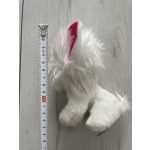 Coco Surprise kiskutya  